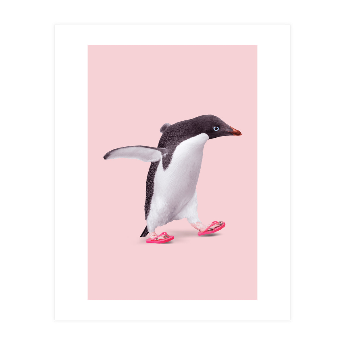 Flip Flop Penguin (Print Only)