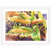 Corn watercolor