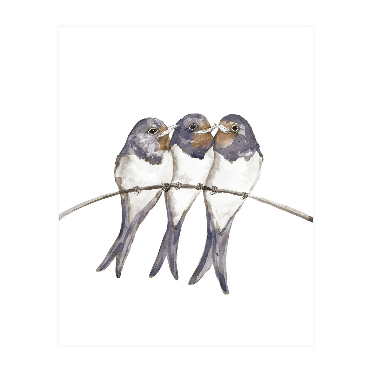 Three young swallows (Print Only)