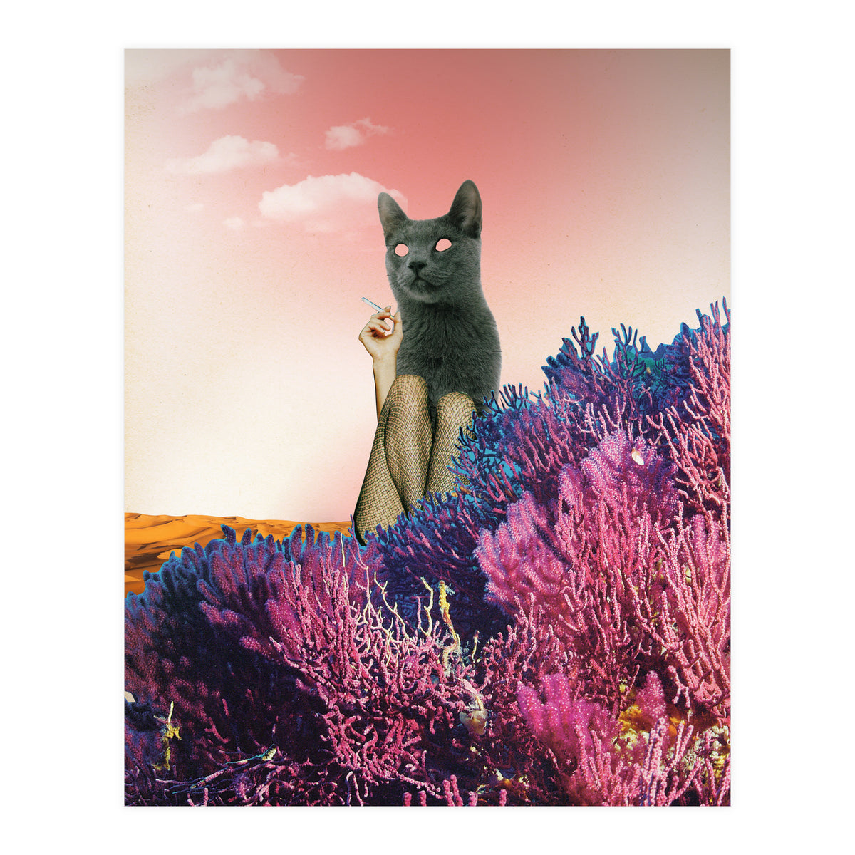 Atmosphere · The Funny Side (Print Only)