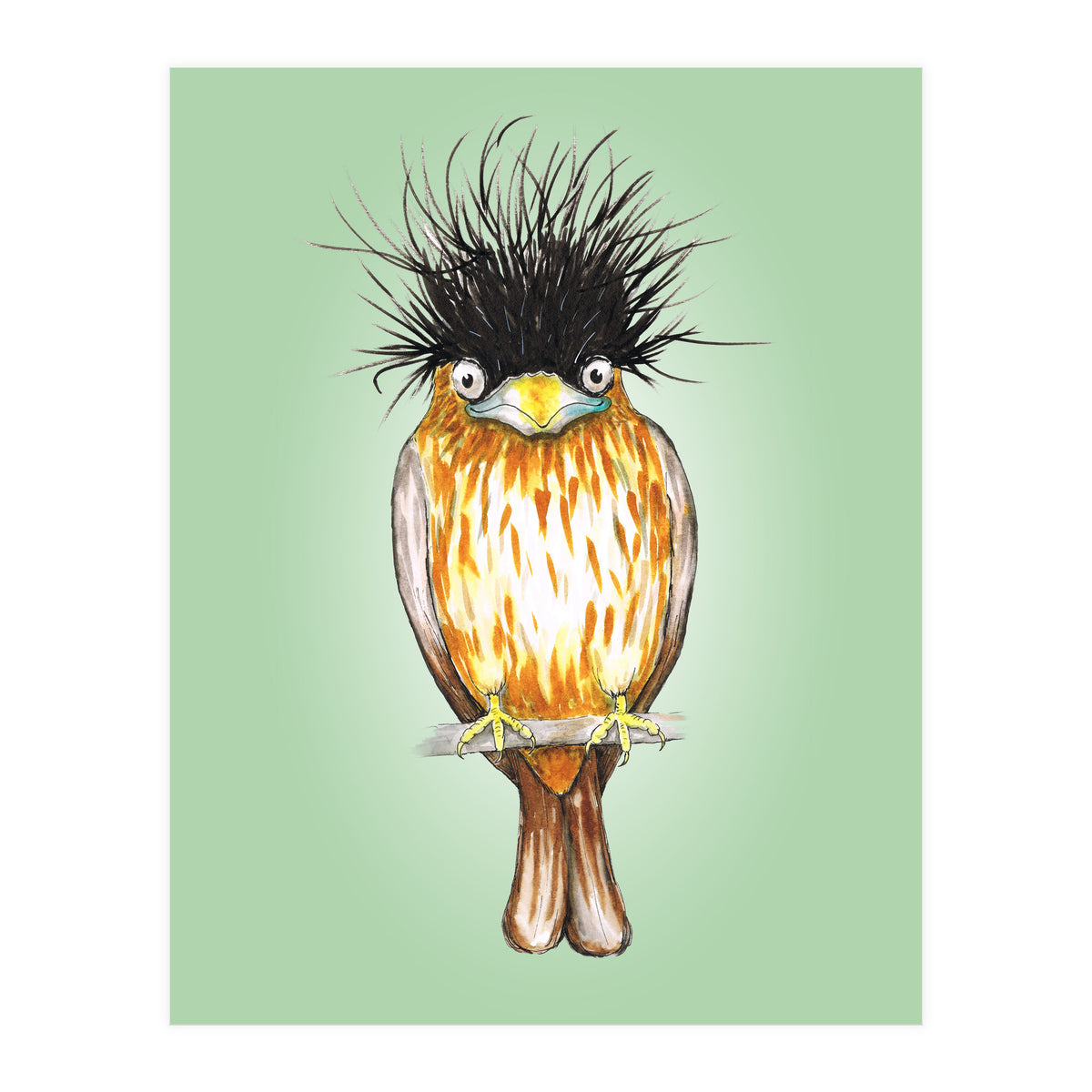 Brahminy starling (Print Only)