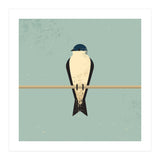 Swallow (Print Only) thumbnail