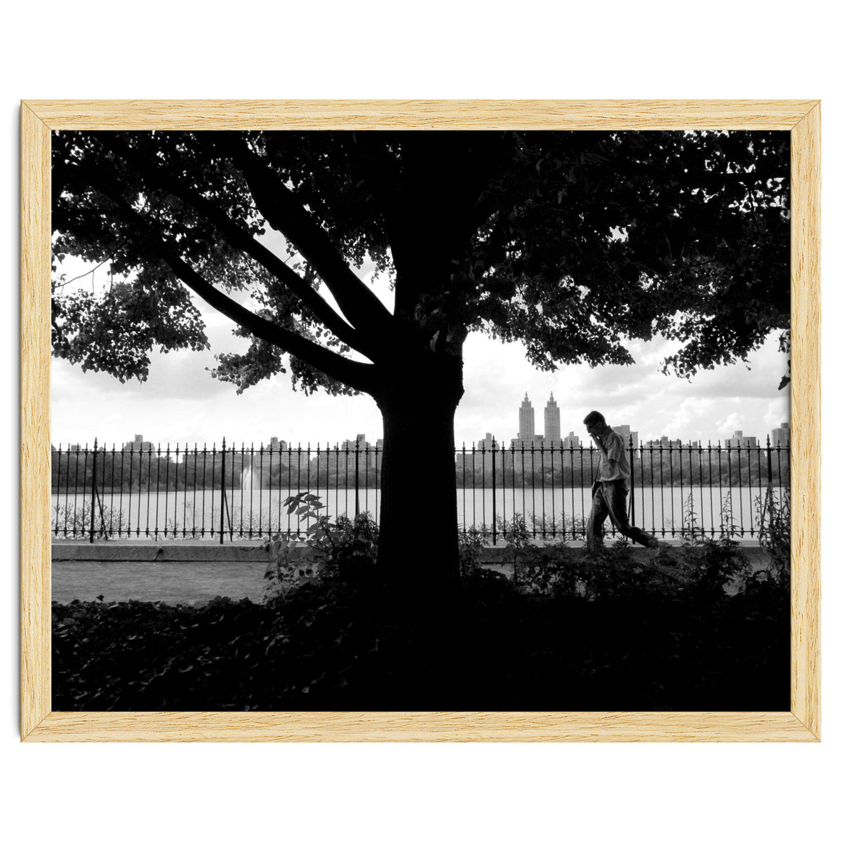 Central Park, New York City