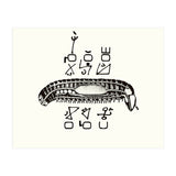 Diplopod David Felix (Print Only) thumbnail