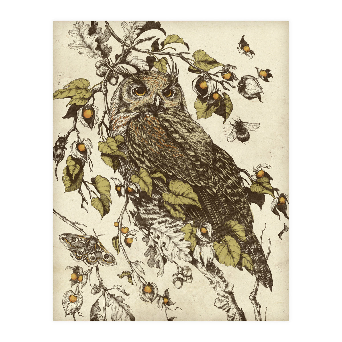 Great Horned Owl (Print Only)