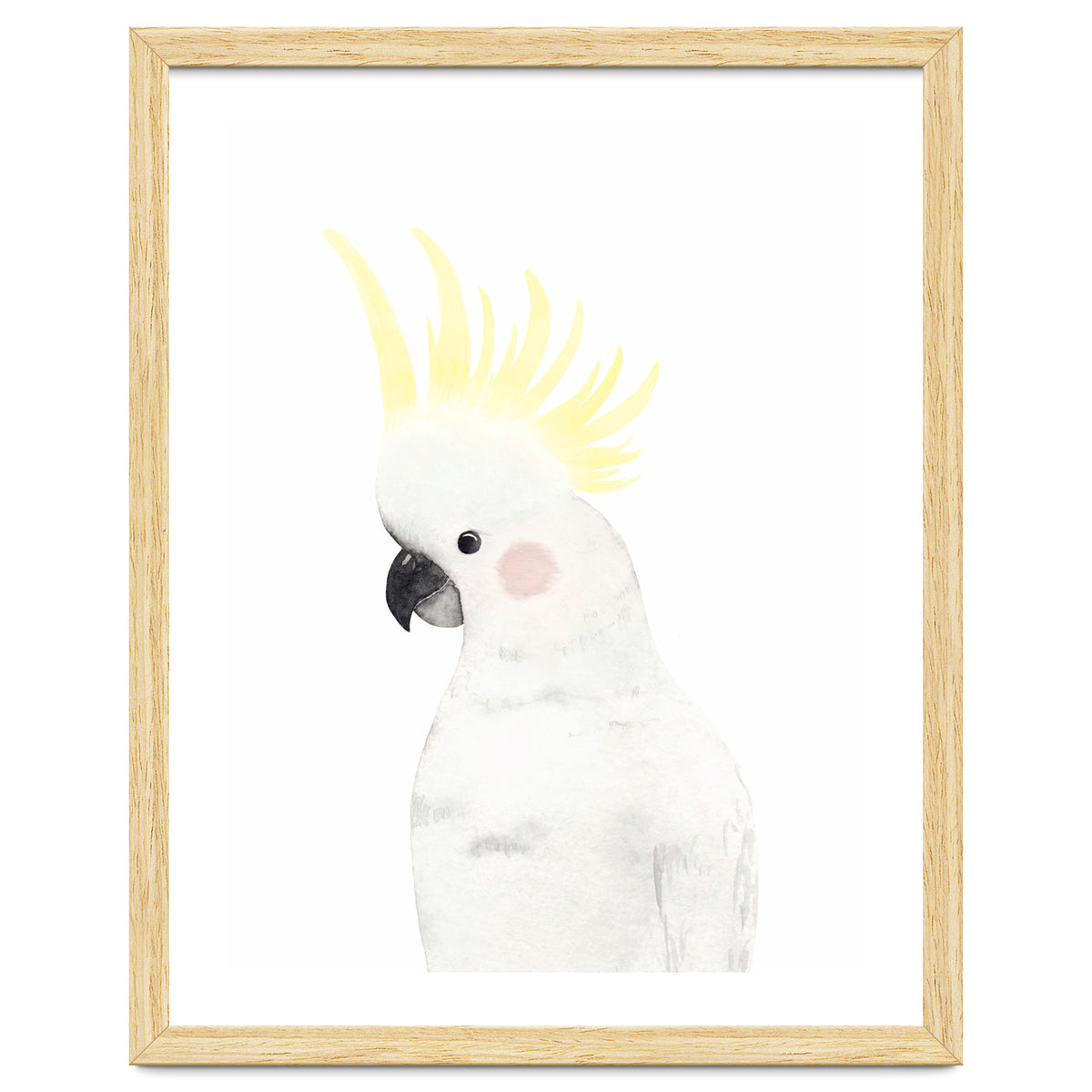 Sweet Cockatoo