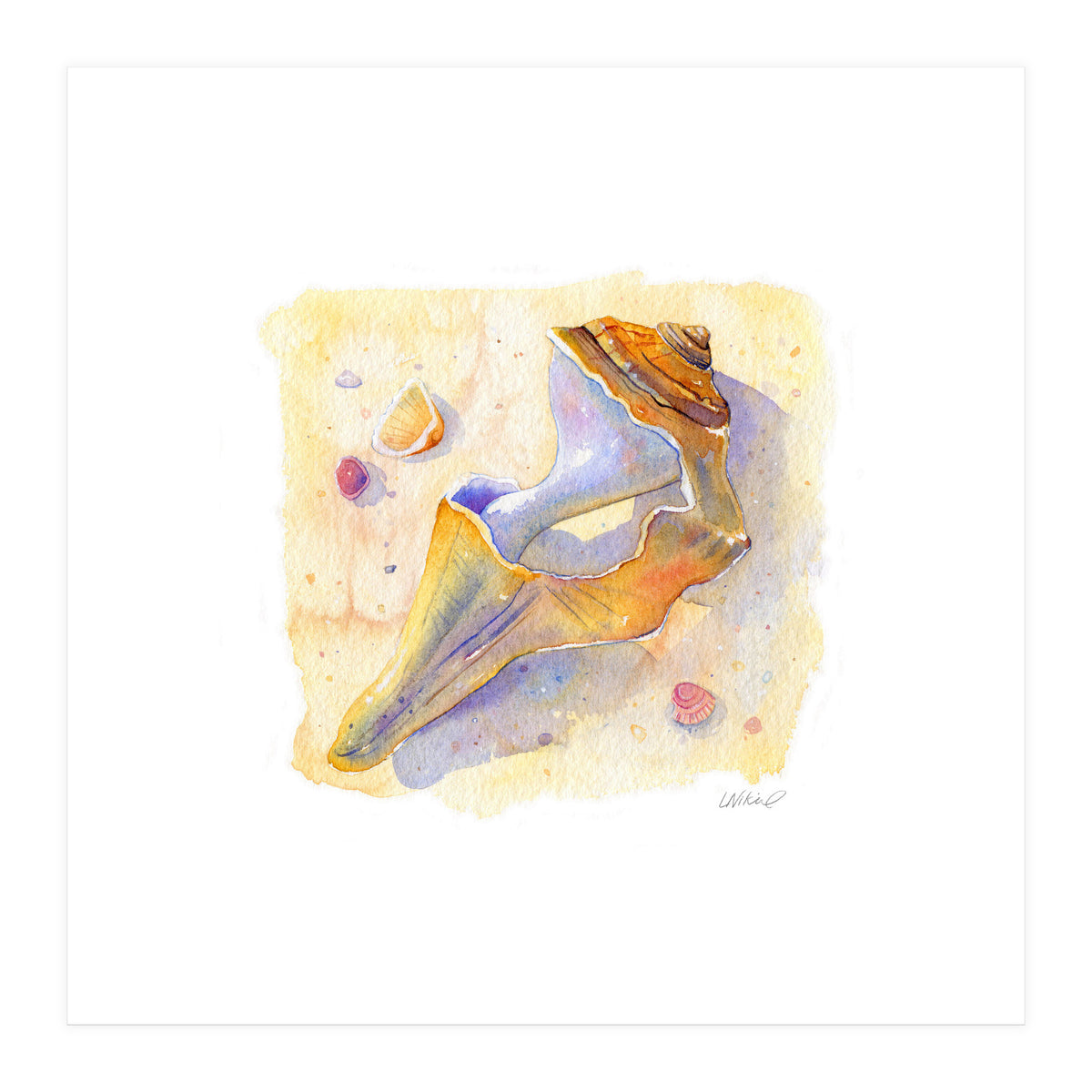 Old Shell (Print Only)