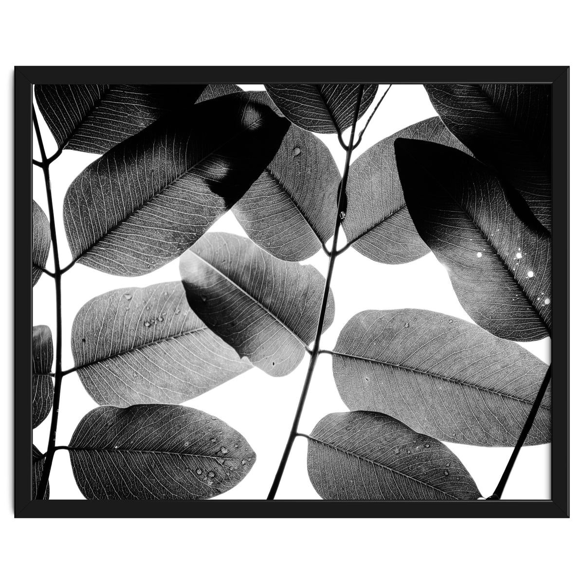 Experiments with Leaves II