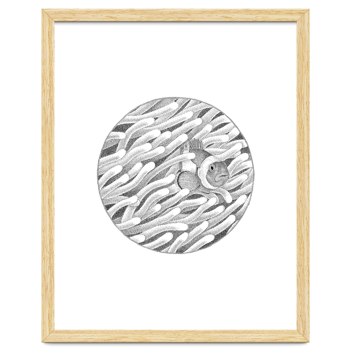 P.O. Underwater Gardens