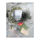 Evergreen (Print Only) thumbnail