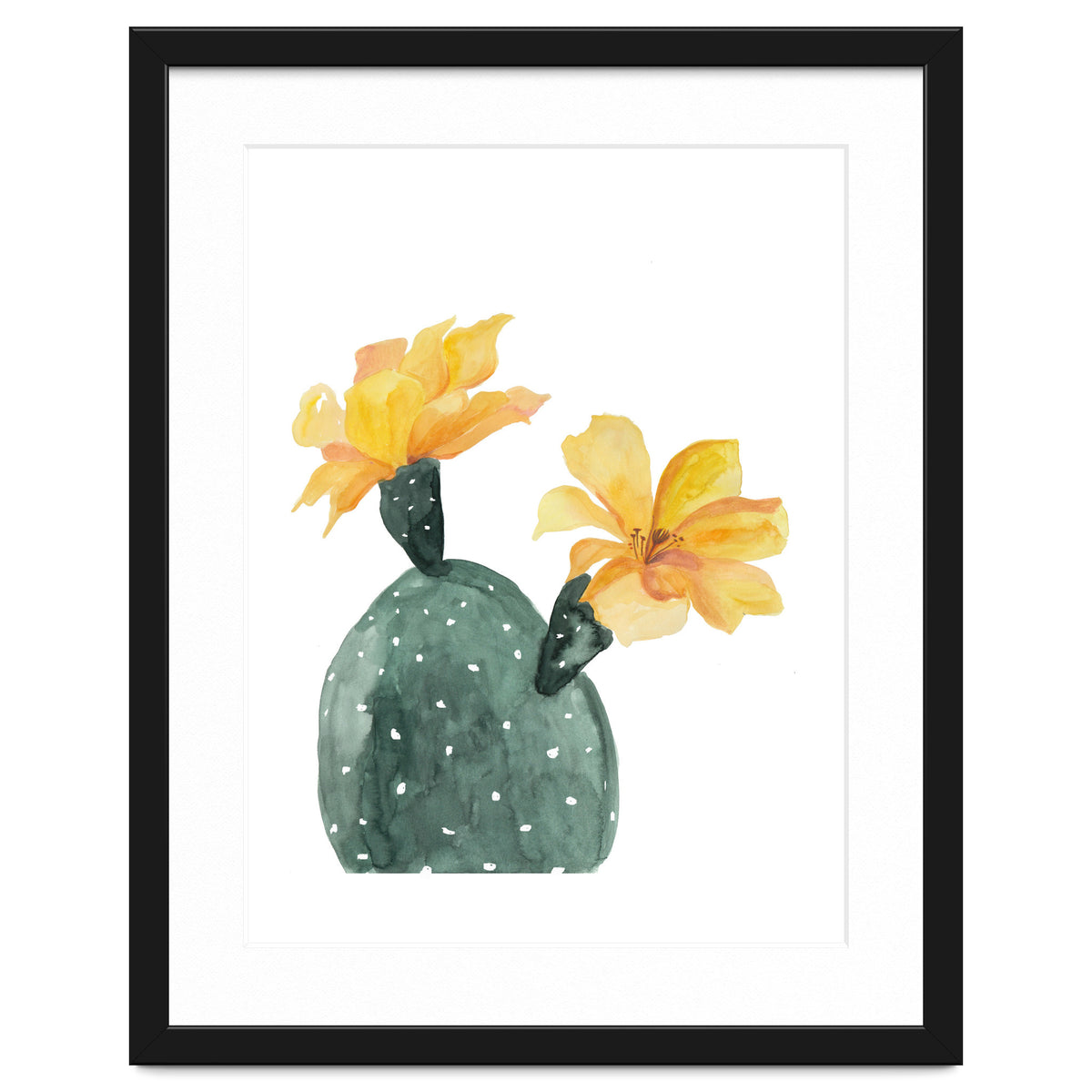 Botanical Illustration Yellow Cactus Flowers