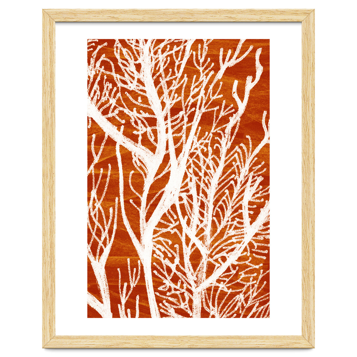 Desert Colours Collection 2