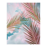 Palms + Sky (Print Only) thumbnail