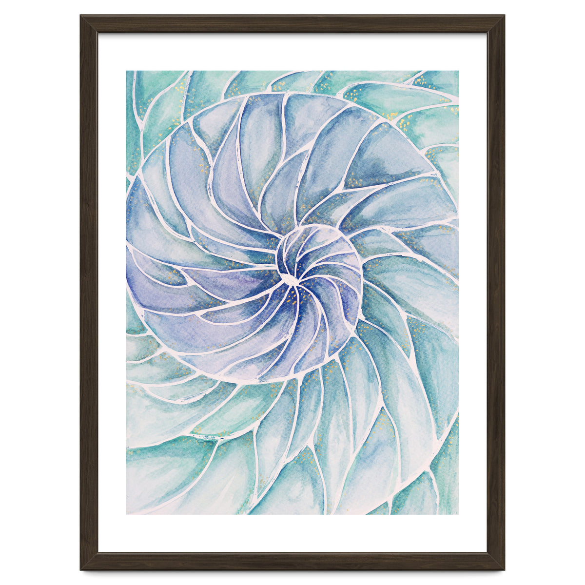 The inside of a shell