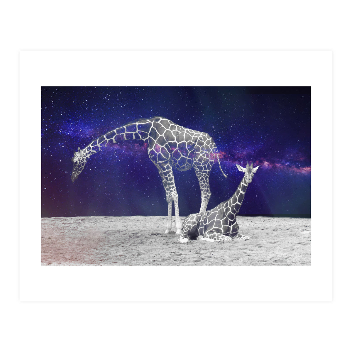Giraffes on The Moon (Print Only)