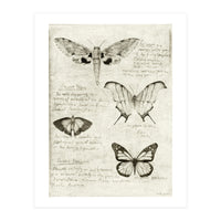 Butterflies (Print Only)