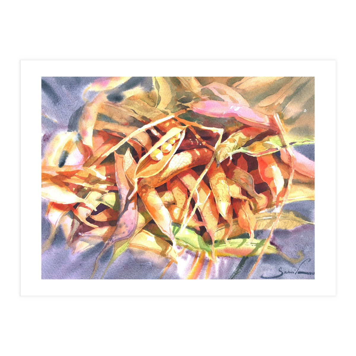 Bean Pods  (Print Only)