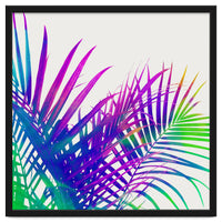 Colorful Palm