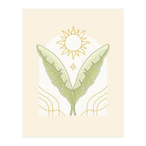 Follow The Sun (Print Only) thumbnail