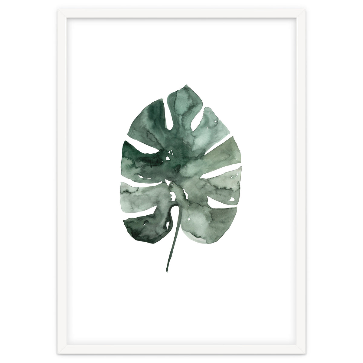 Botanical Illustration Monstera Leaf