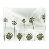 CALIFORNIA Vintage Palm Trees  (Print Only) thumbnail