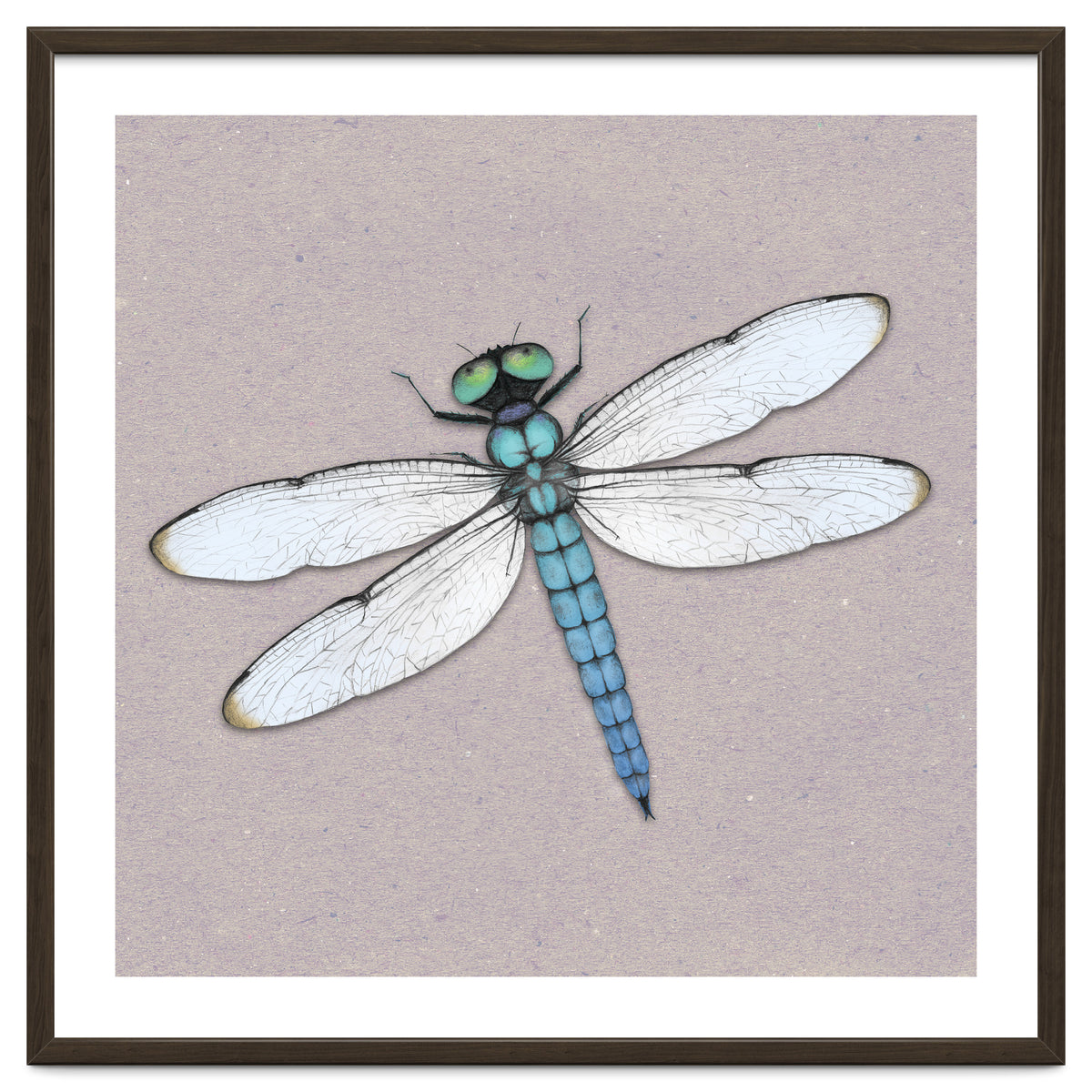 Blue dragonfly