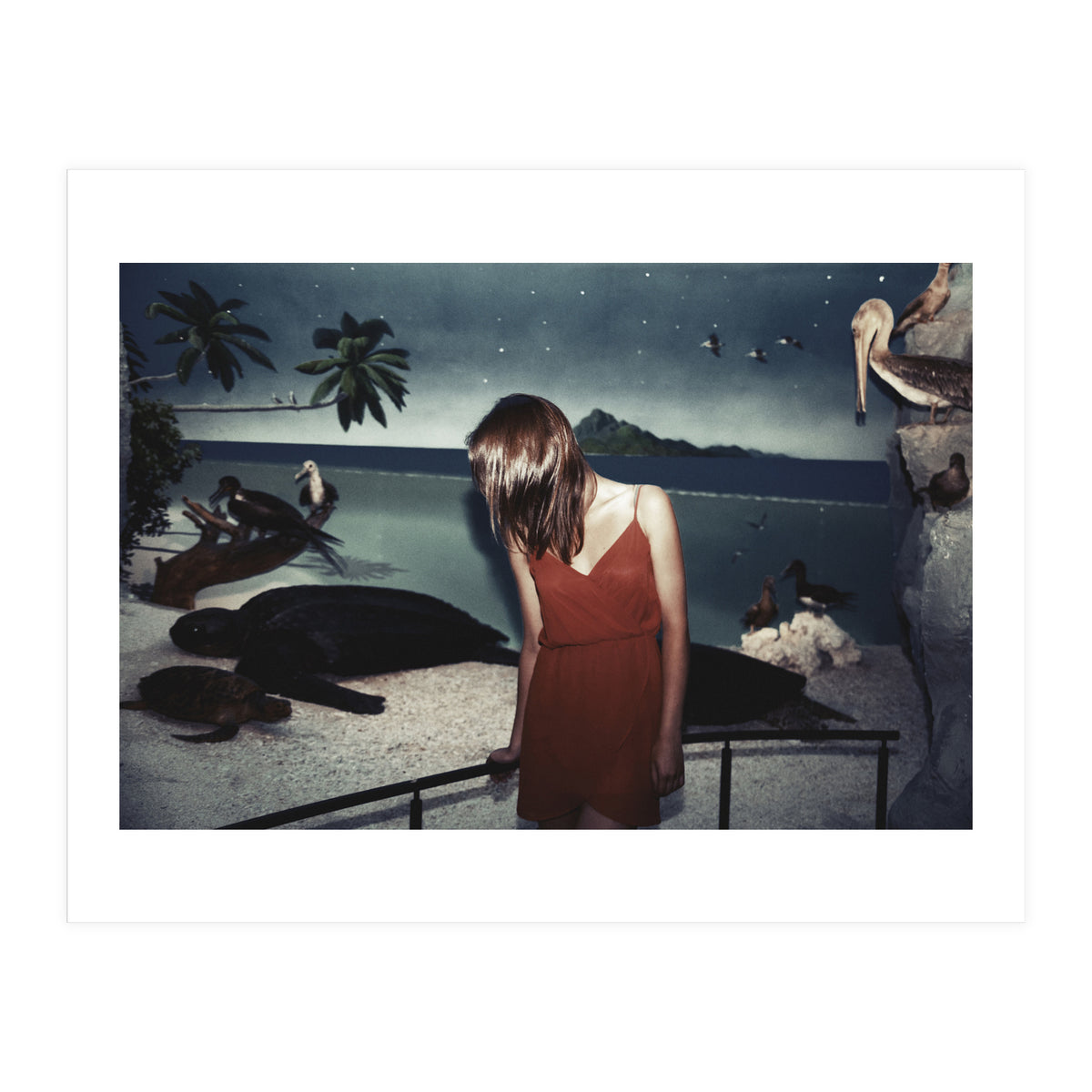 Galapagos (Print Only)