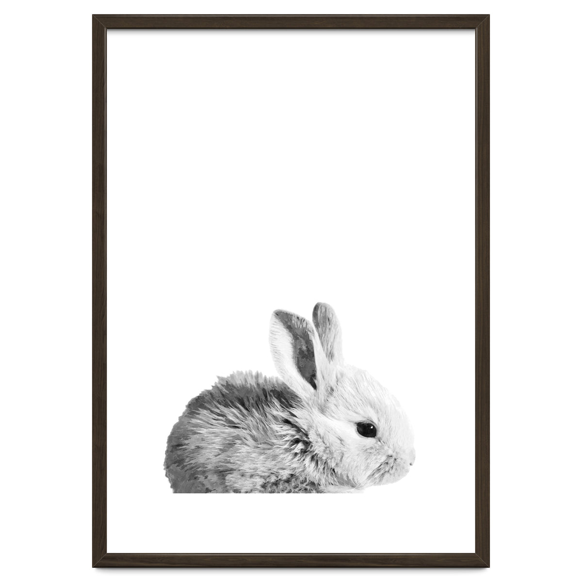 Black and White Bunny Portrait