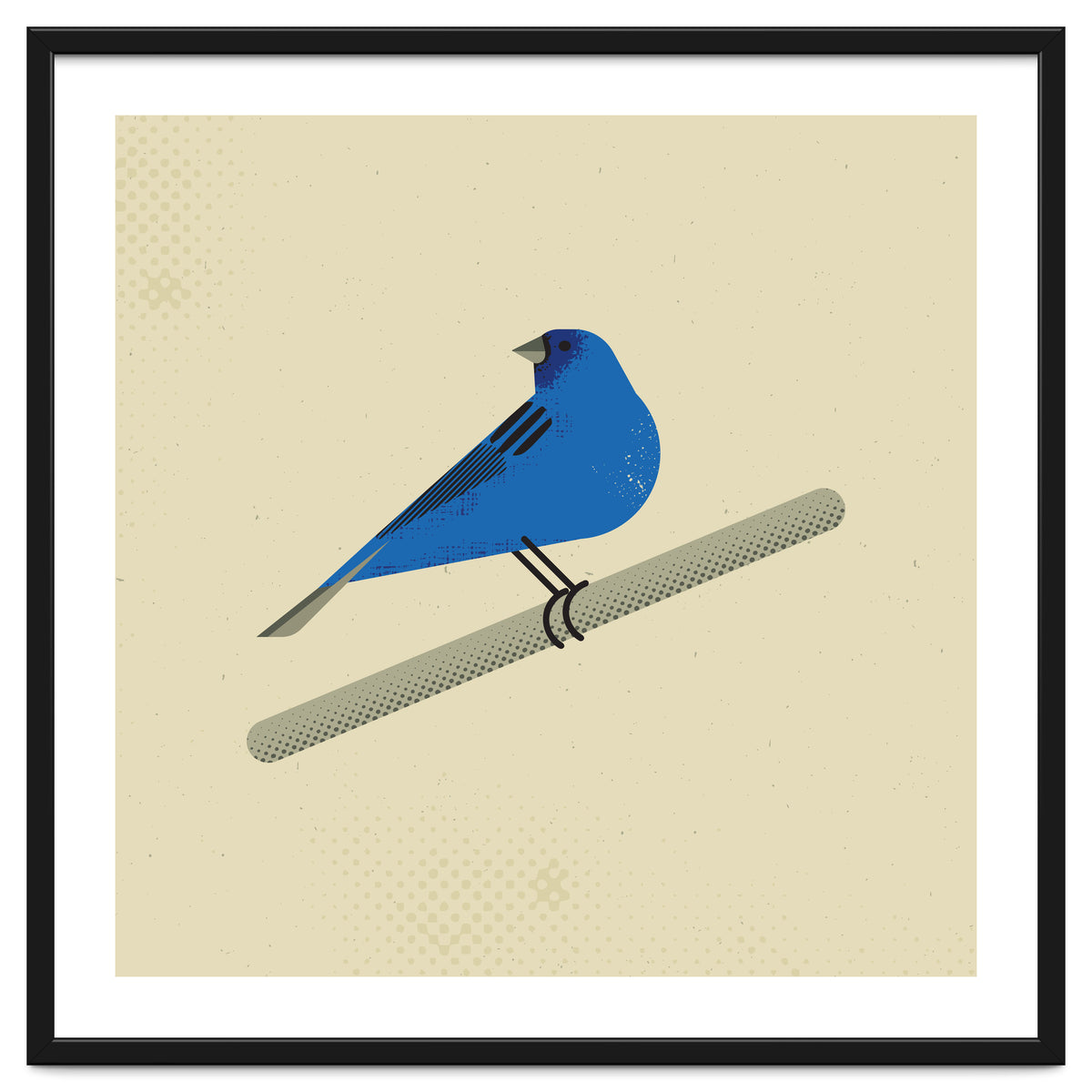 Indigo Bunting