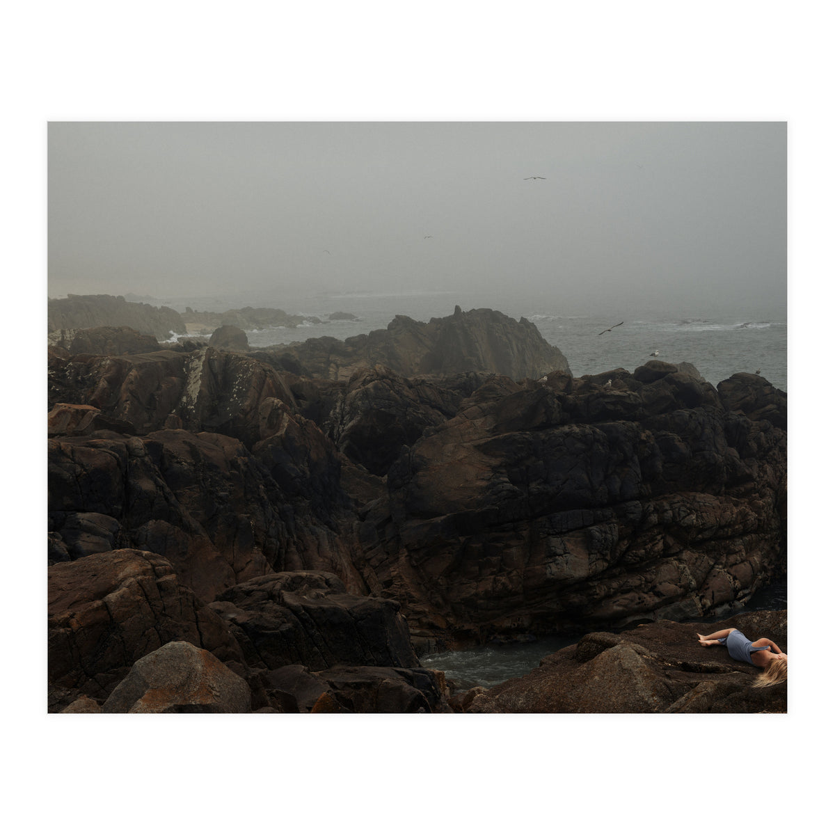 Seagull Bay (Print Only)