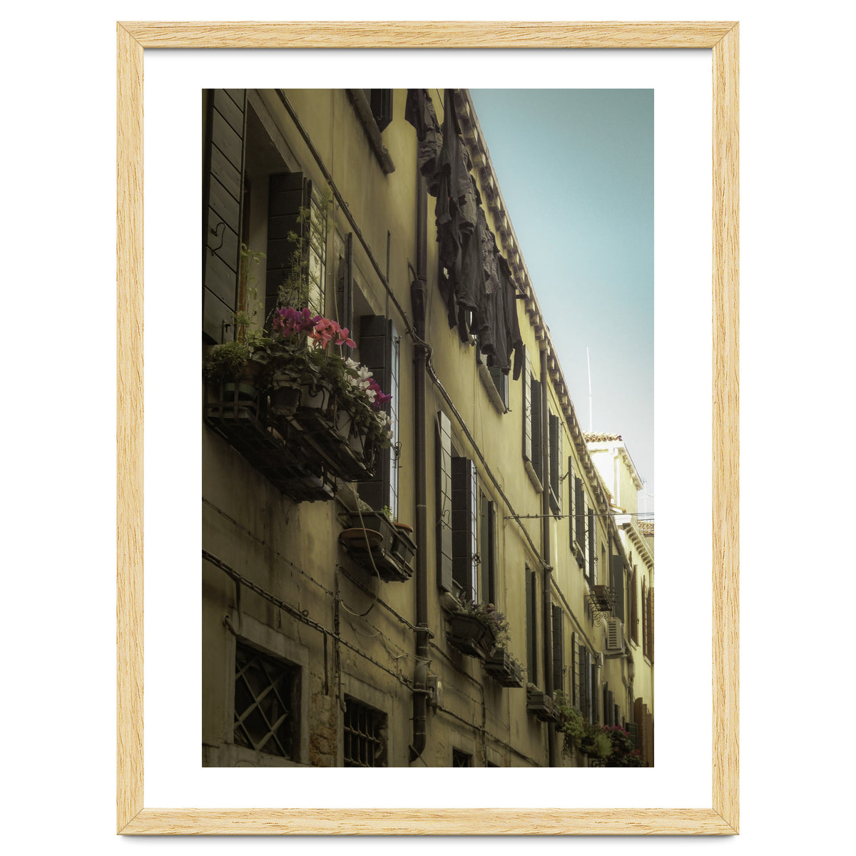 Windows From Tuscany 1