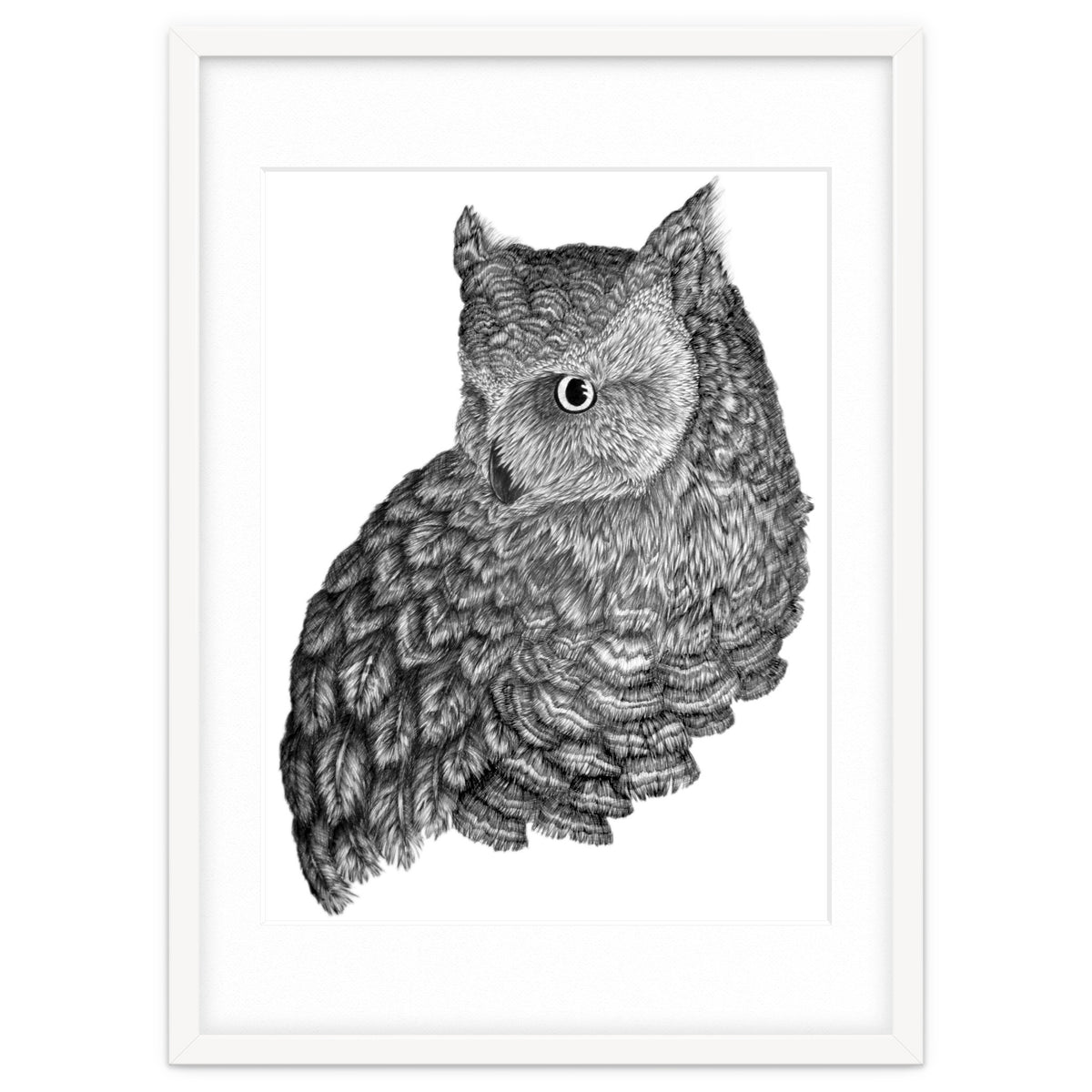 A Friend For Forsythe