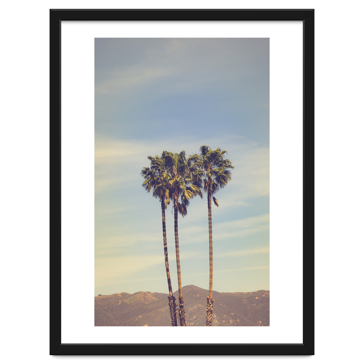 Summer in Los Angeles