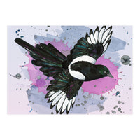 A watercolor drawing of a flying magpie (Print Only)