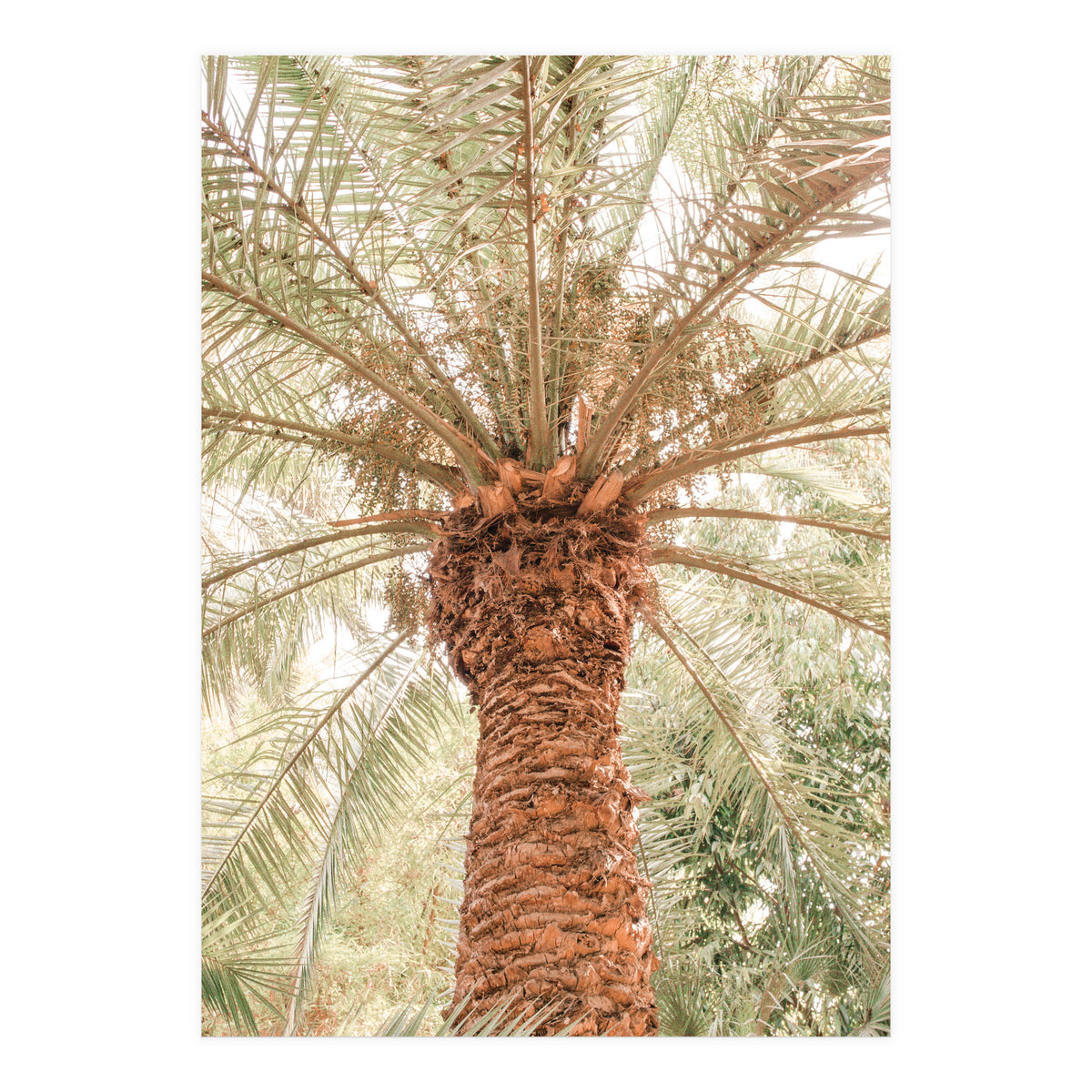 Tropical 2 (Print Only)