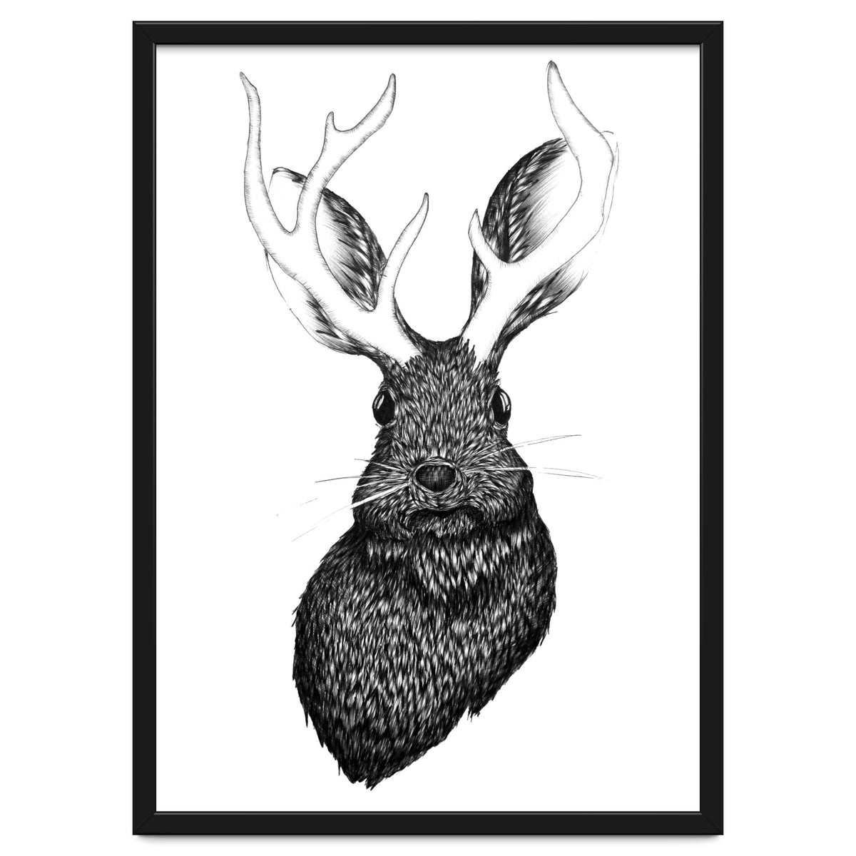 Jackalope