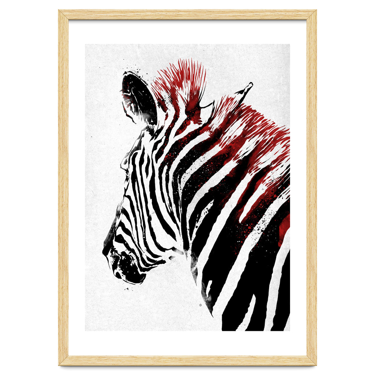 Zebra