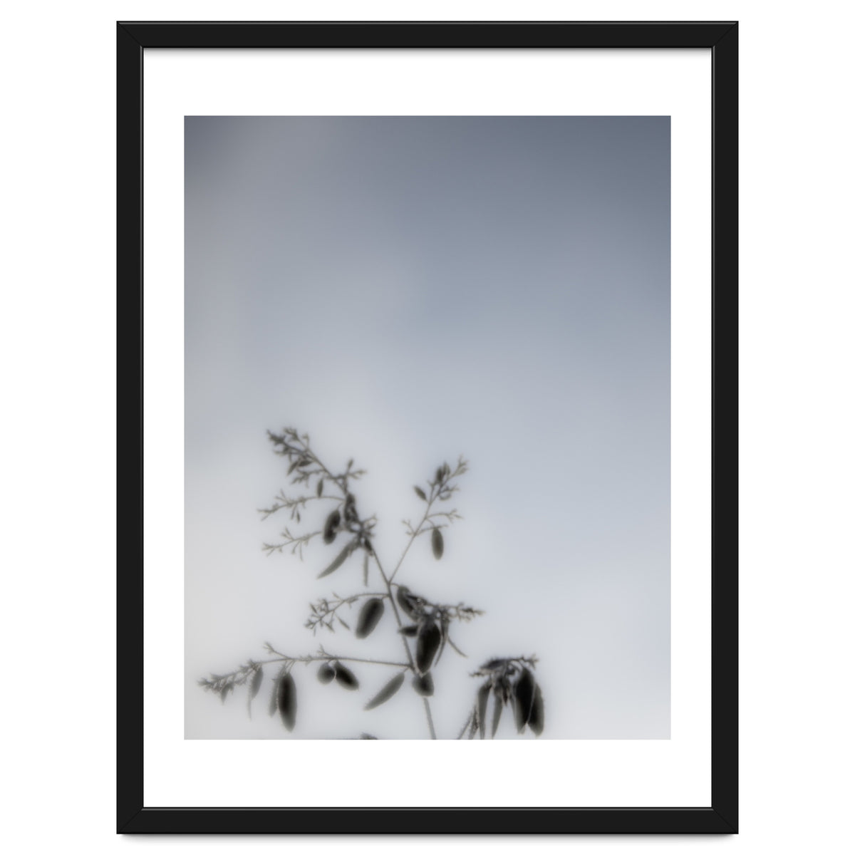 Forgotten Memories of Summer #17