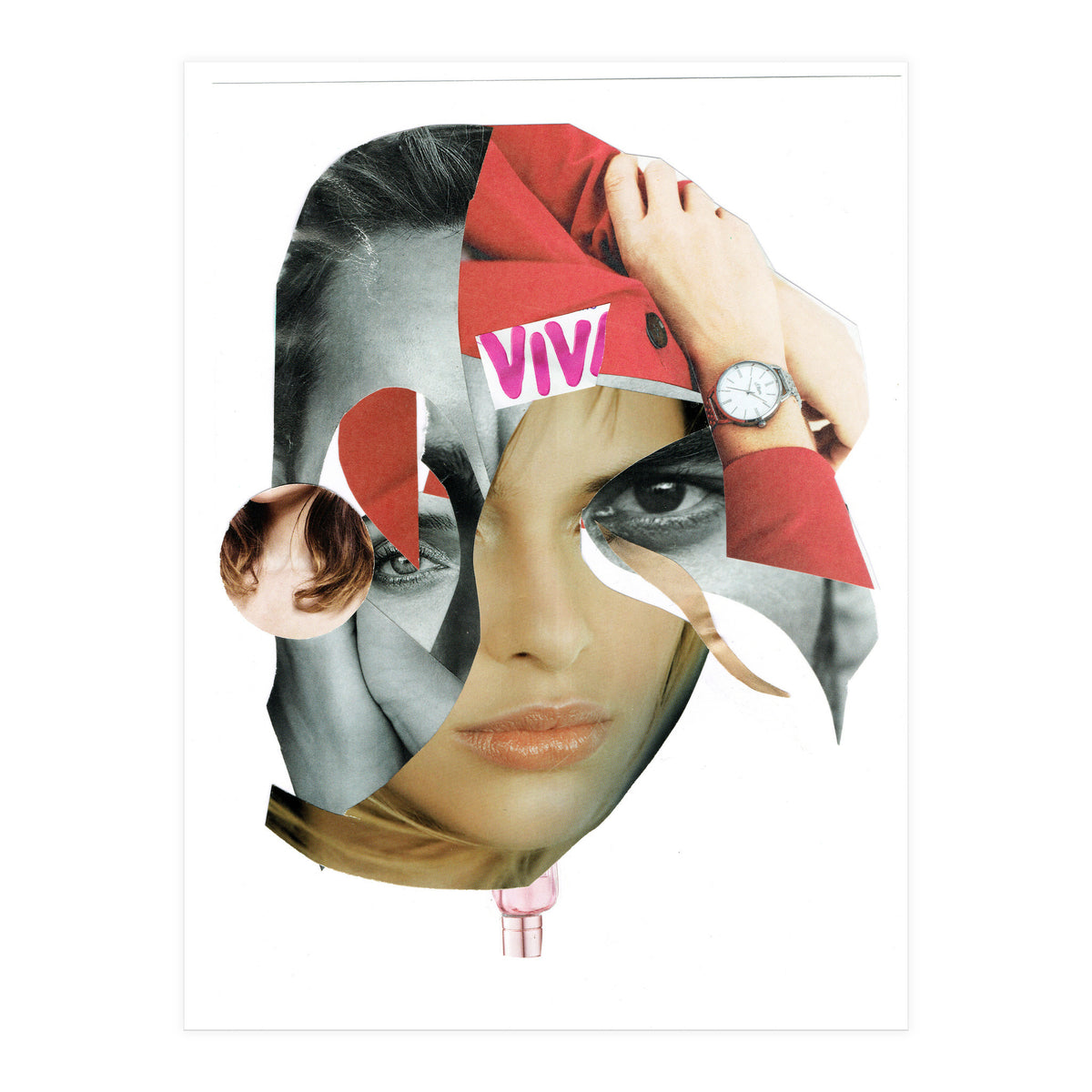 Another Portrait Disaster X (Print Only)