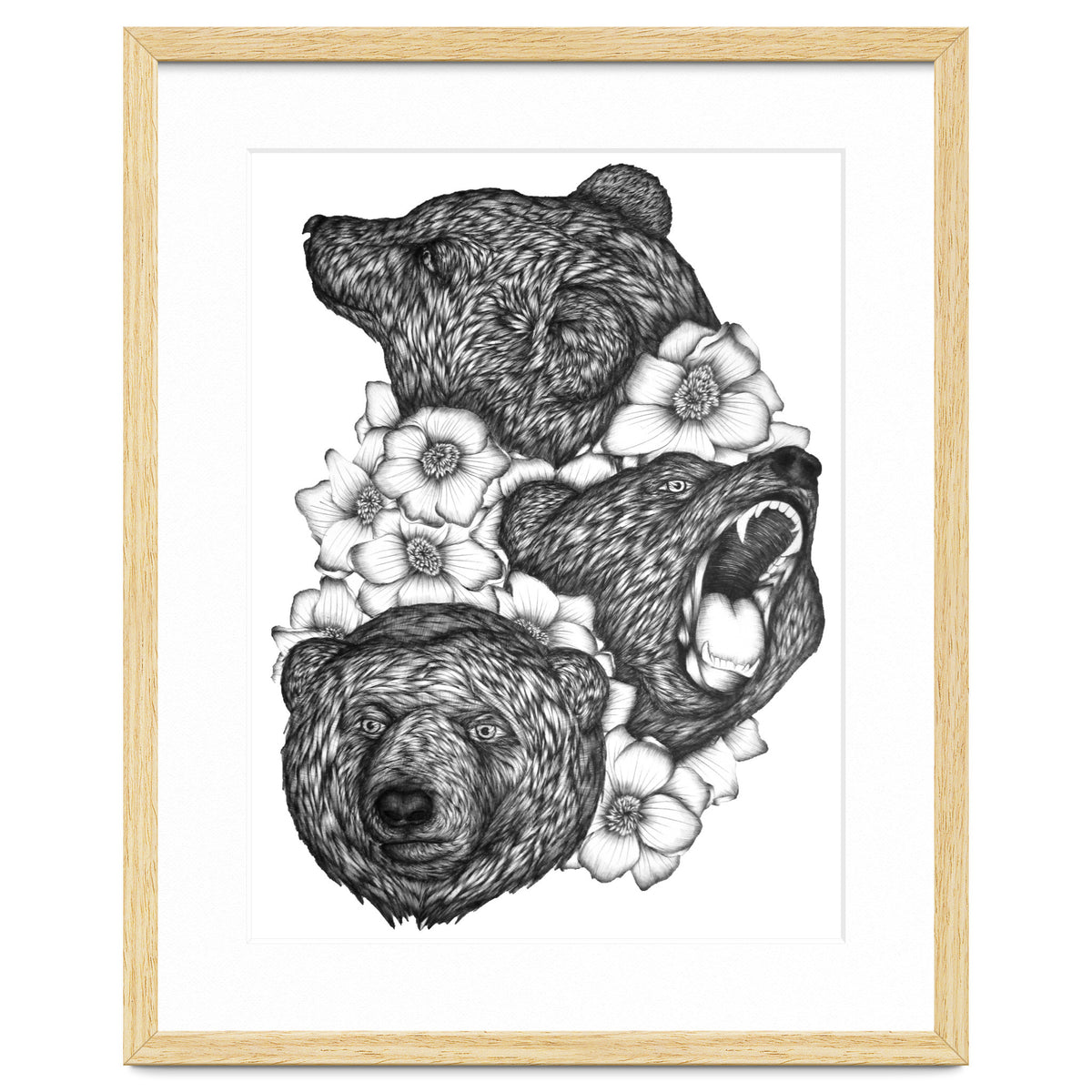 Bears In Bears