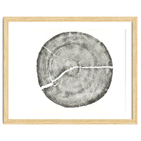 Rock Canyon, Tree Ring Print, Woodblock