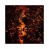 Lulu (Print Only) thumbnail