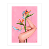Bird Of Paradise (Print Only) thumbnail