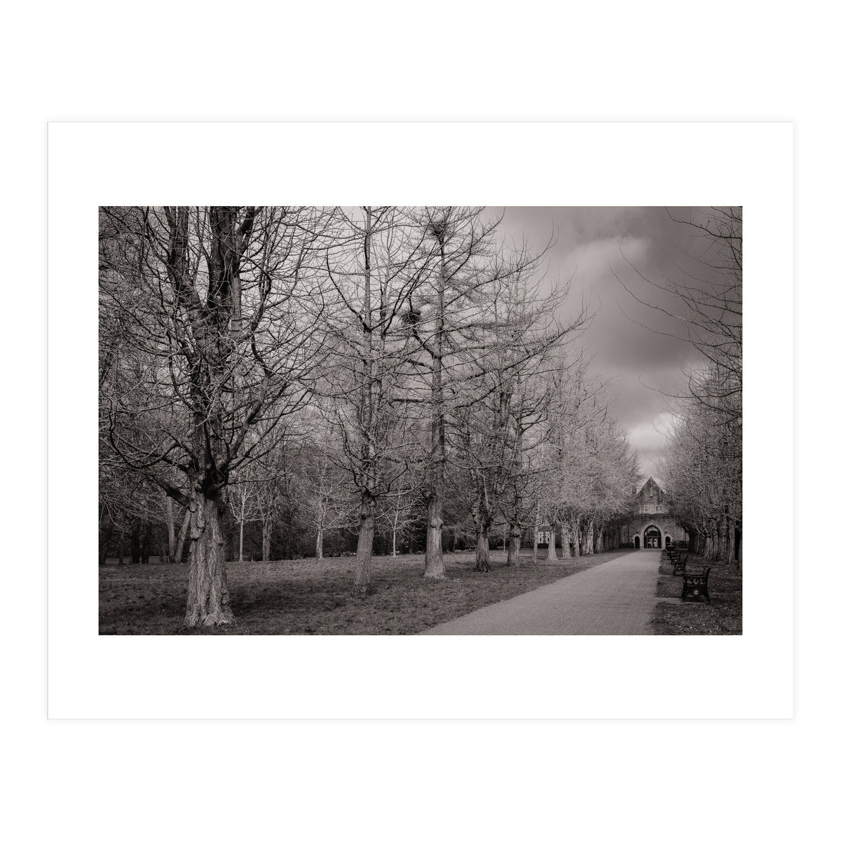 Bute Park, Cardiff (Print Only)
