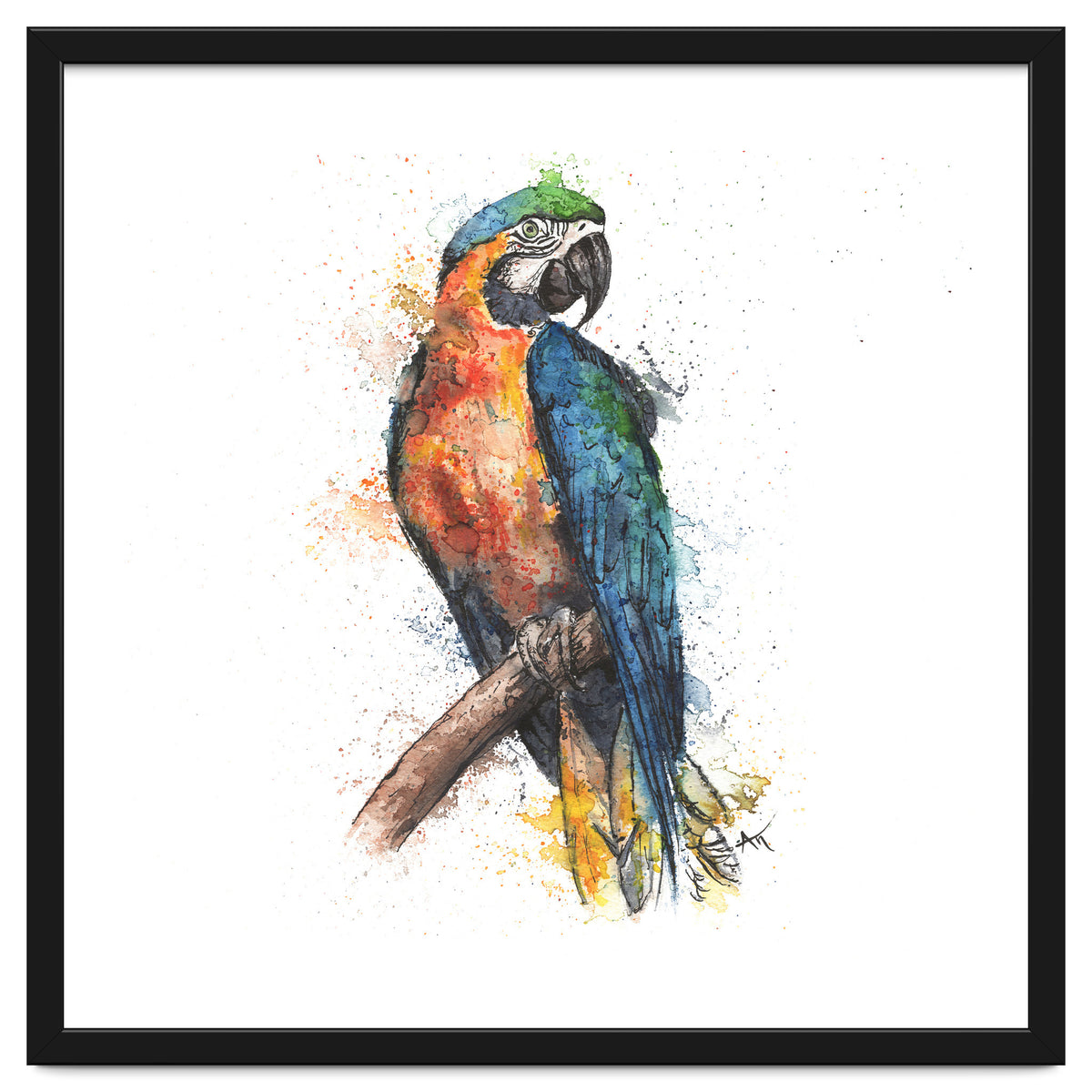 Parrot - Wildlife Collection