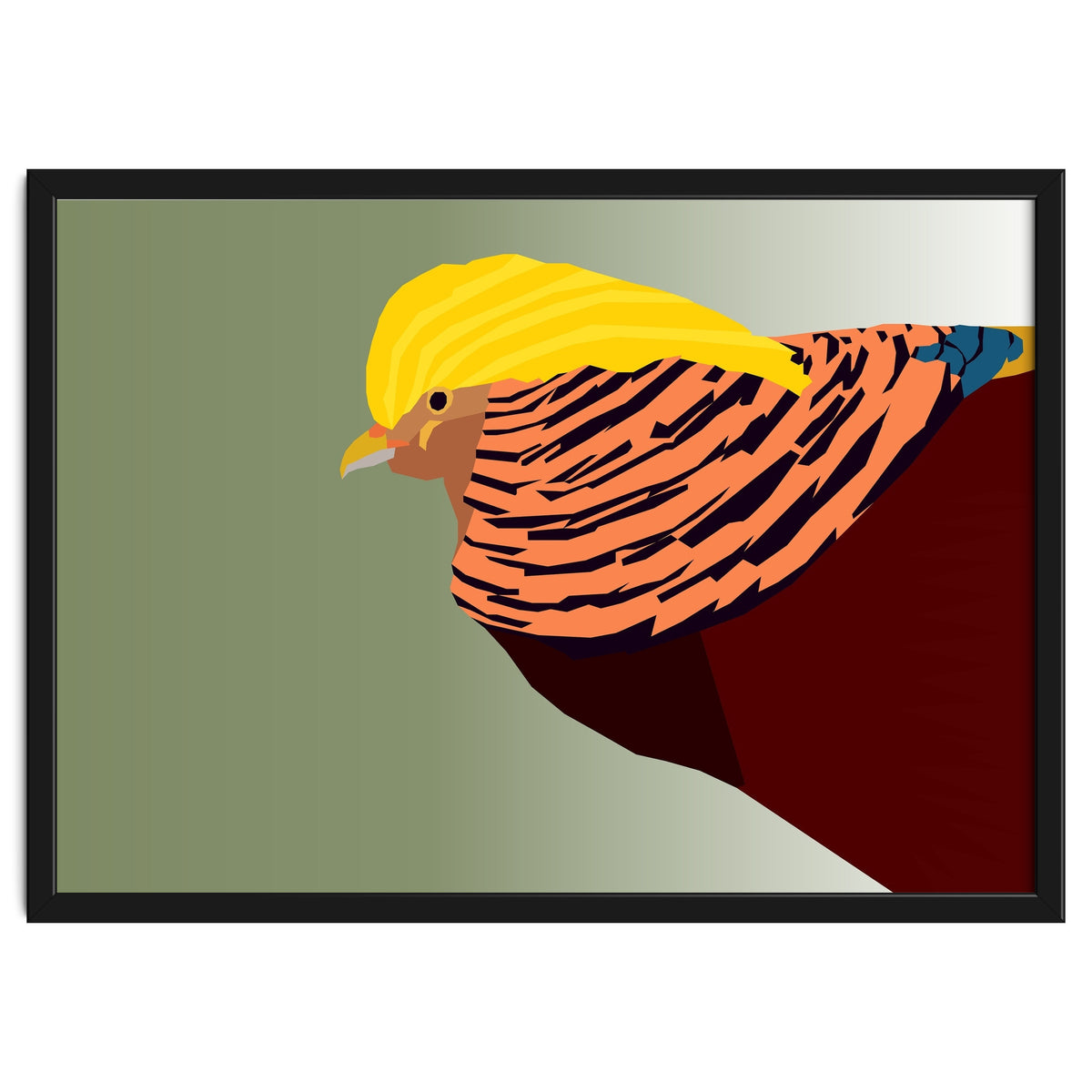 Golden Pheasant Bird Art