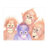 Orangutan Babies (Print Only) thumbnail