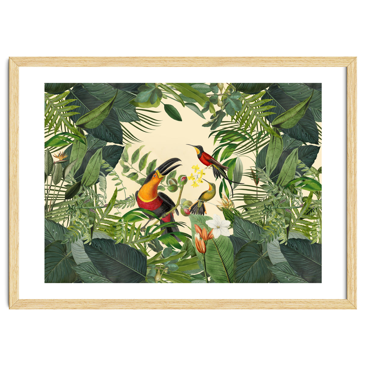 Green Jungle Toucans 2