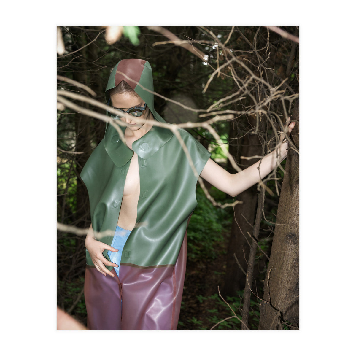 Camouflaged Animals (Print Only)