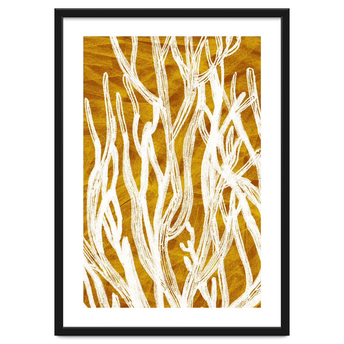 Desert Colours Collection 1